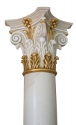 Gilded capital of white scagliola column ( 2 / 2 )